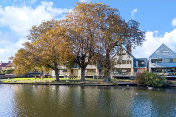 Cambridge Removals Challenge   David